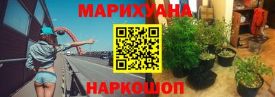 трава Новодвинск