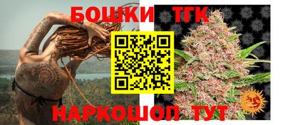 трава Новодвинск