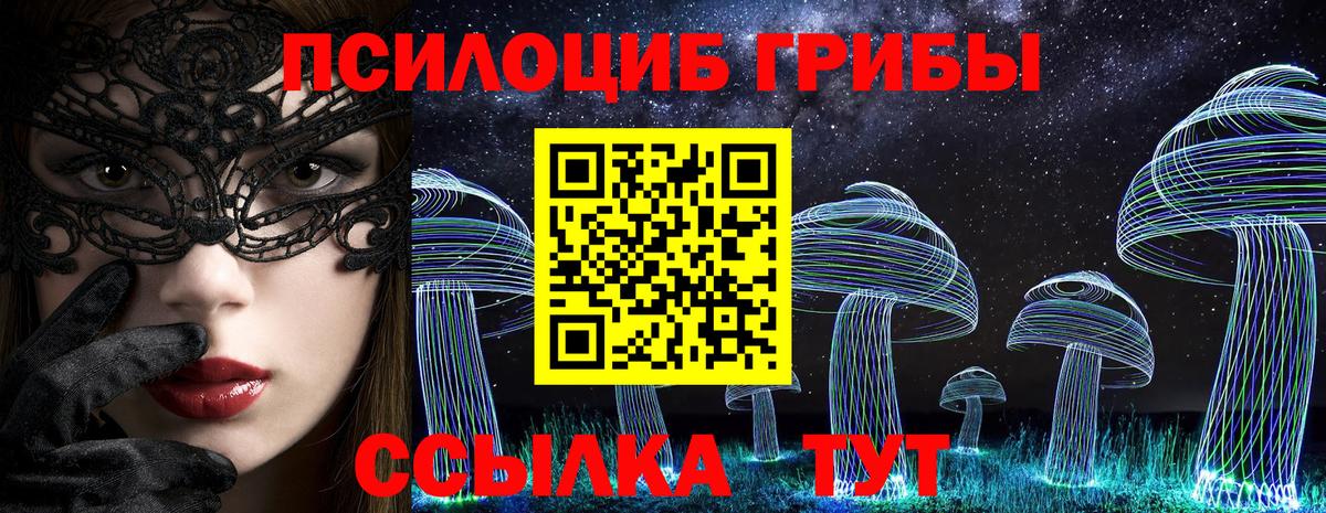 Псилоцибиновые грибы Cubensis Сланцы