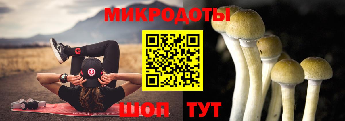 Сланцы  Псилоцибиновые грибы мицелий  Вход с VPN  Галлюциногенные грибы GOLDEN TEACHER 